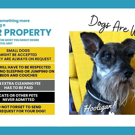 Ca' Bea With Ac And Terrace 公寓 *